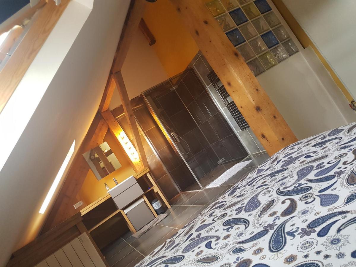 Loft Dans Les Pyrenees Appartement Oloron-Sainte-Marie Buitenkant foto