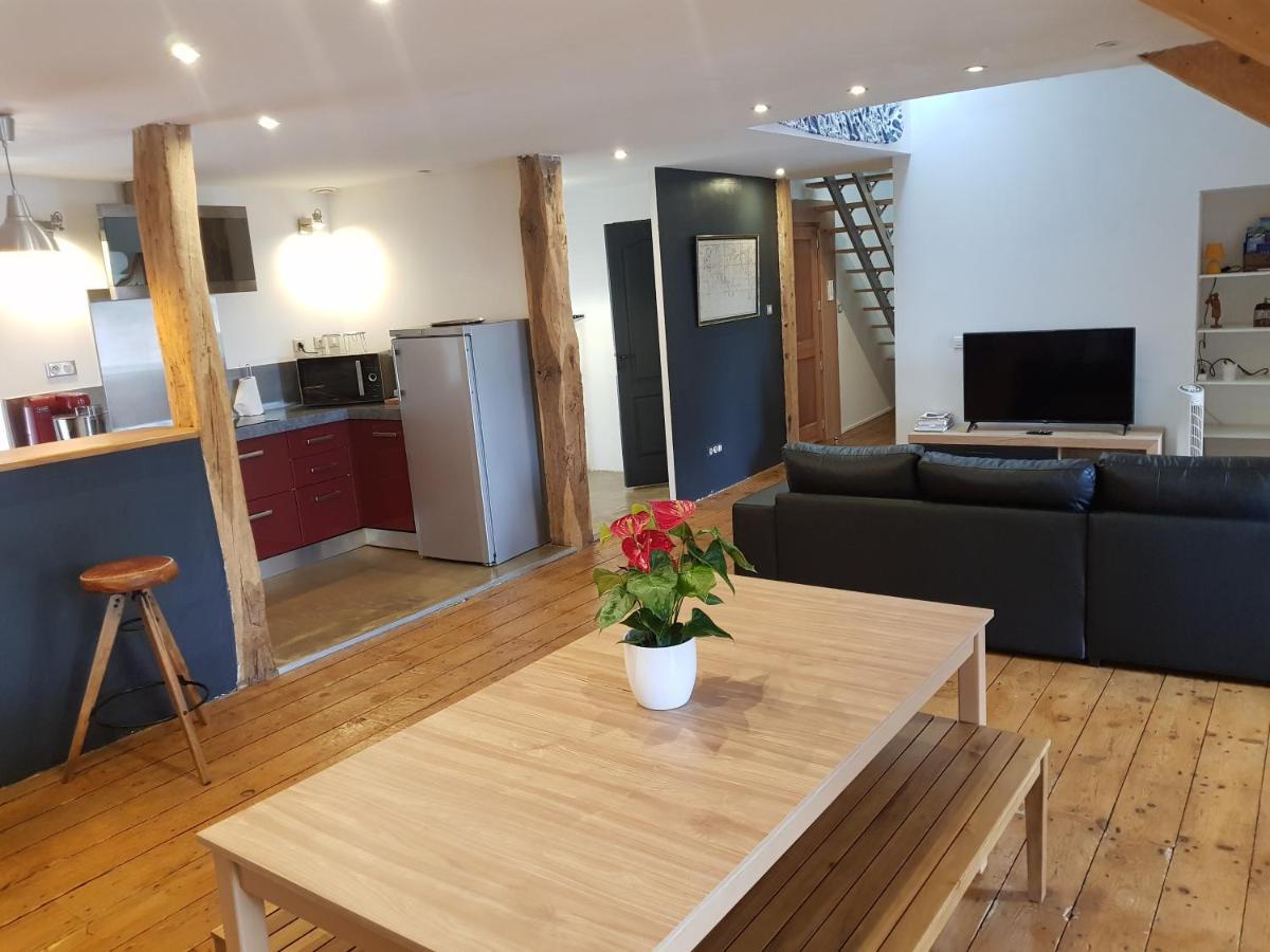 Loft Dans Les Pyrenees Appartement Oloron-Sainte-Marie Buitenkant foto