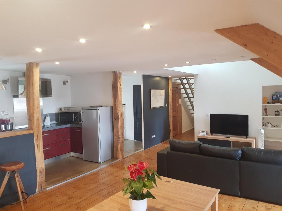 Loft Dans Les Pyrenees Appartement Oloron-Sainte-Marie Buitenkant foto