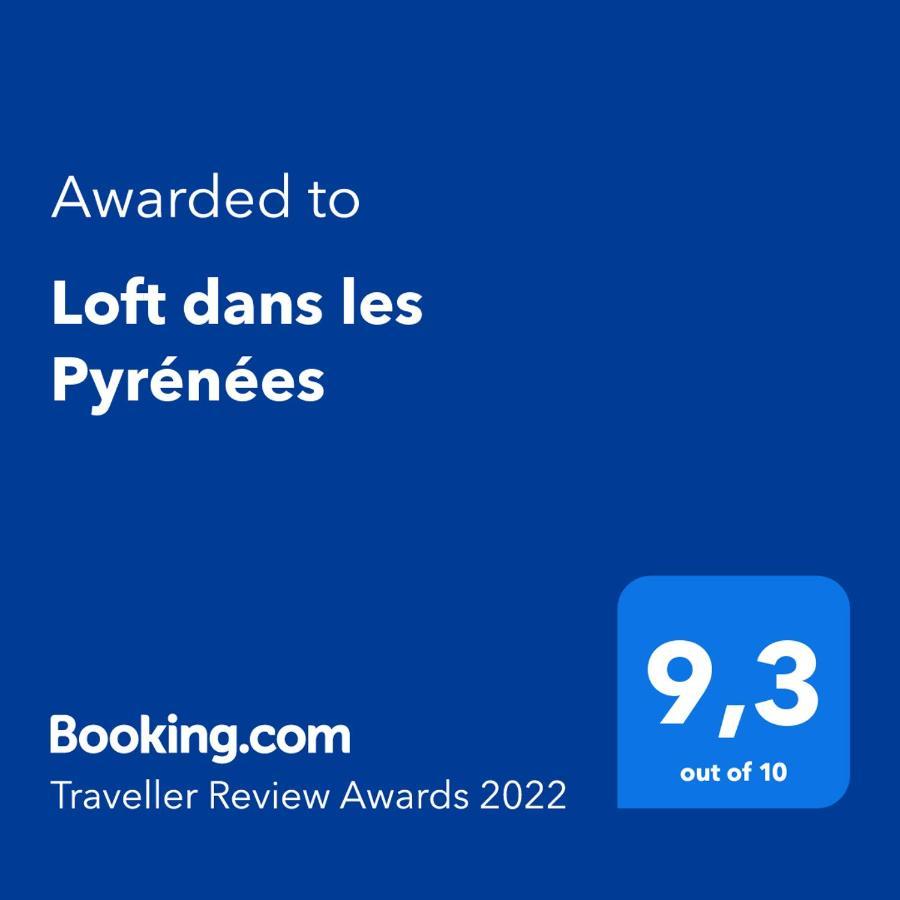 Loft Dans Les Pyrenees Appartement Oloron-Sainte-Marie Buitenkant foto